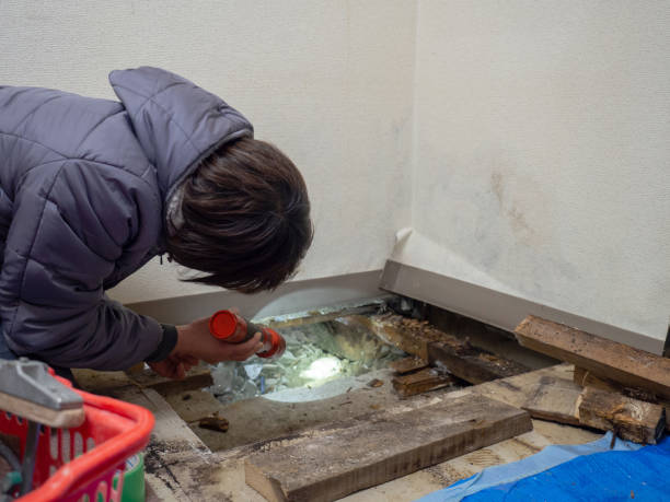 Best Mold Prevention Services  in Brewster, WA
