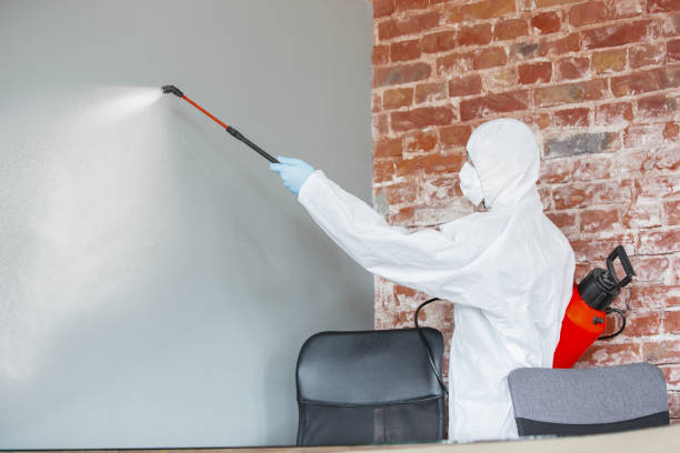 Best Indoor Air Quality Assessment  in Brewster, WA