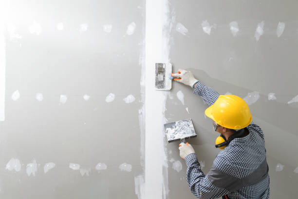 Best Mold Remediation for Vacation Homes  in Brewster, WA