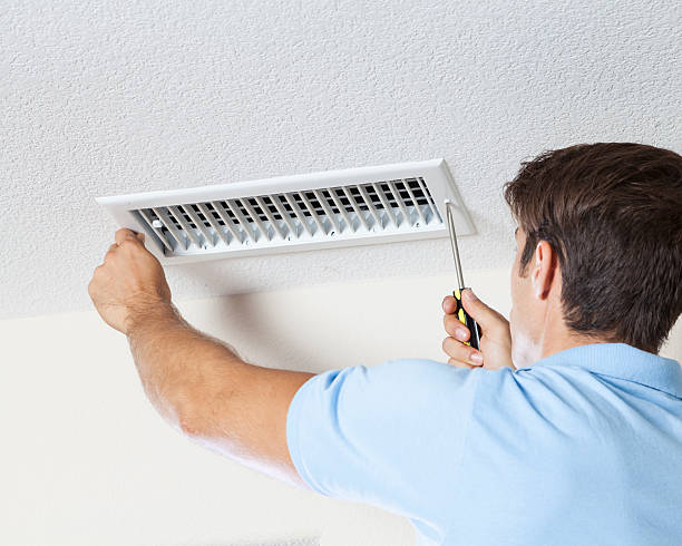 Reliable Brewster, WA Mold Removal Solutions