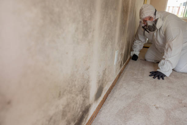Best HVAC Mold Inspection and Cleaning  in Brewster, WA