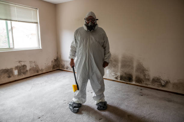 Mold Remediation for Vacation Homes in Brewster, WA