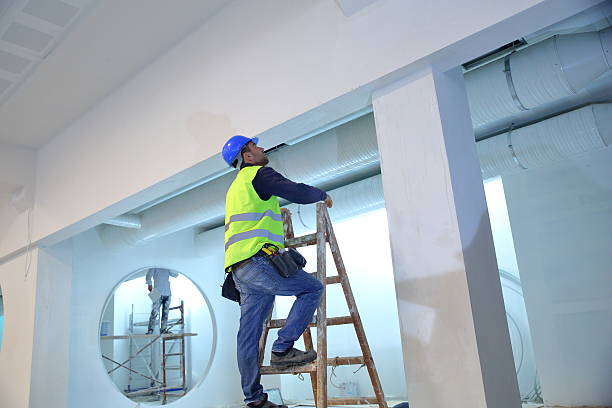 Best Basement Mold Removal  in Brewster, WA