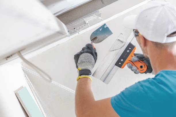 Best Attic Mold Removal  in Brewster, WA